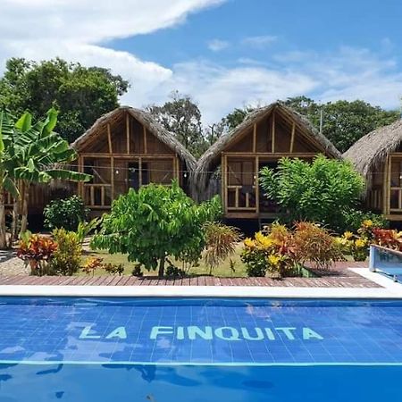 Hostal La Finquita Palomino Dış mekan fotoğraf