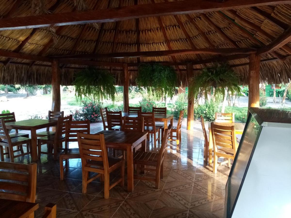 Hostal La Finquita Palomino Dış mekan fotoğraf