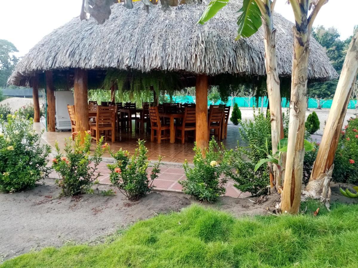 Hostal La Finquita Palomino Dış mekan fotoğraf