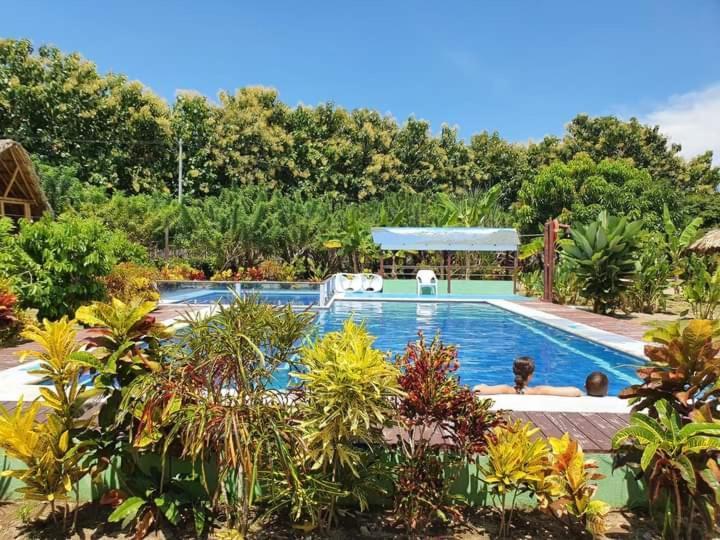 Hostal La Finquita Palomino Dış mekan fotoğraf