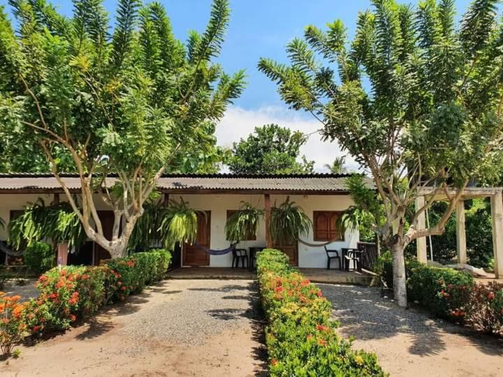 Hostal La Finquita Palomino Dış mekan fotoğraf