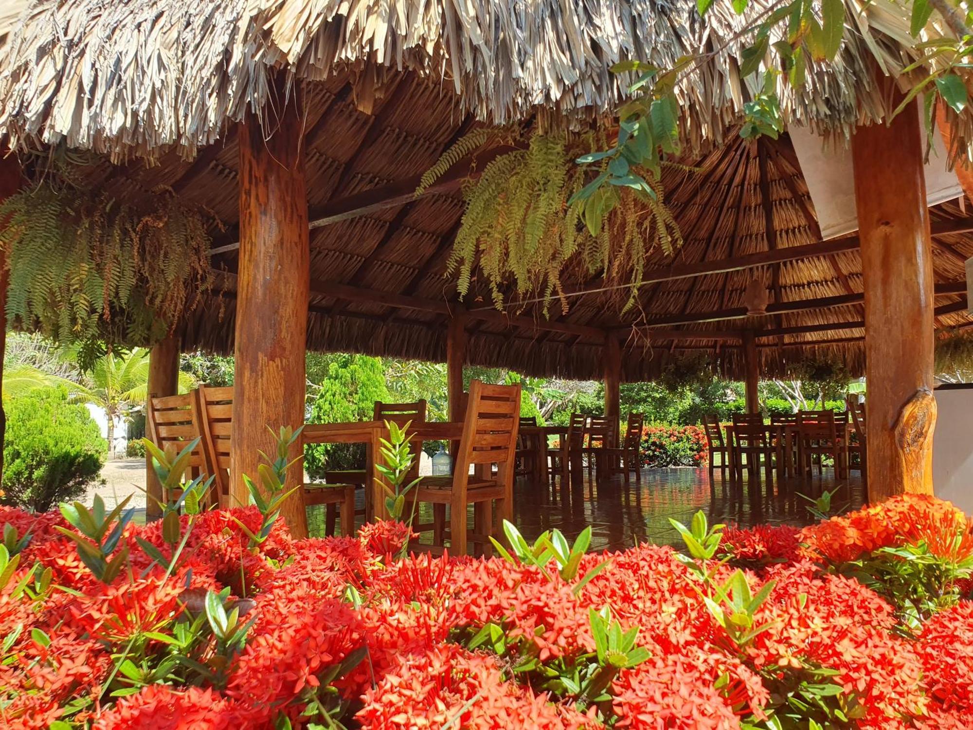 Hostal La Finquita Palomino Dış mekan fotoğraf